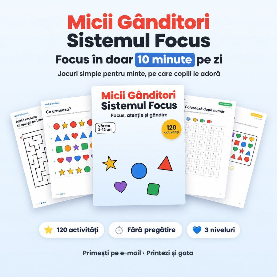 Micii Gânditori – Sistemul Focus